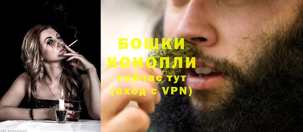 PSILOCYBIN Балахна