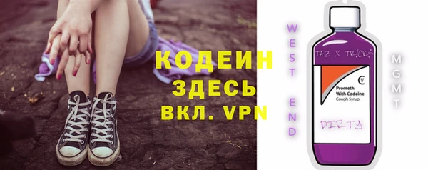прущий лед Арсеньев