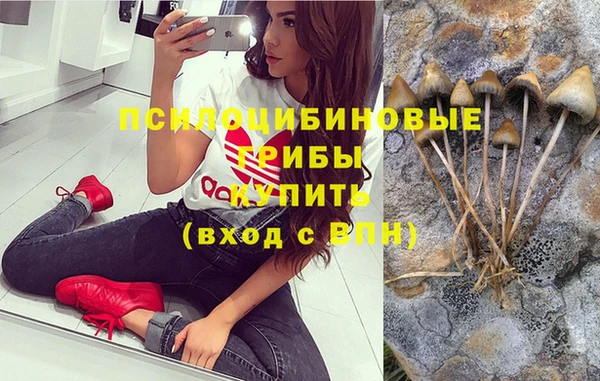 PSILOCYBIN Балахна