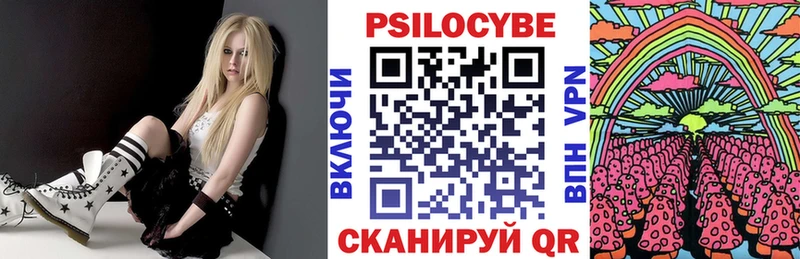 наркотики  Полесск  hydra tor  Псилоцибиновые грибы мицелий 